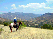 USA-New Mexico-Gila Wilderness Nature Expedition